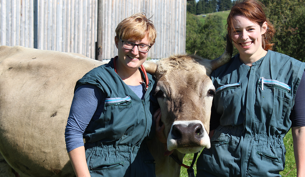 Veterinary Clinic Nesselwang: dynamic veterinarians in the Allgäu. | Grü Veterinary Clinic Nesselwang: dynamic veterinarians in the Allgäu. | Grü